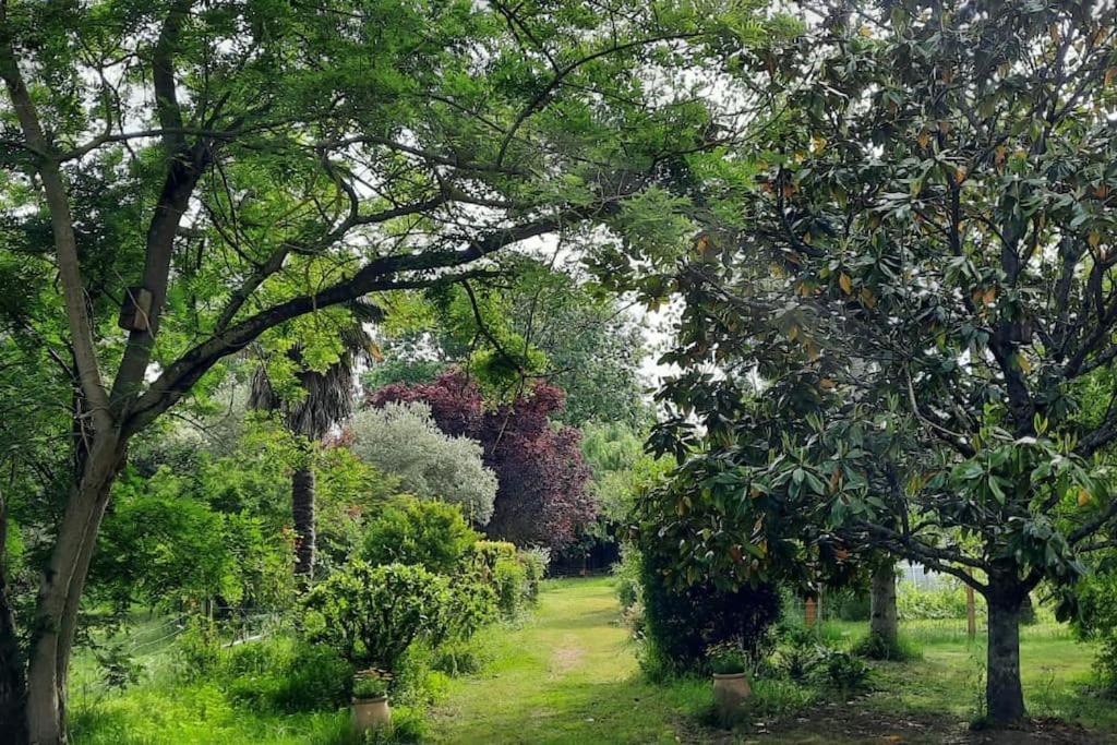 Maison De Famille Avec Parc Arbore Μοντωμπάν Εξωτερικό φωτογραφία